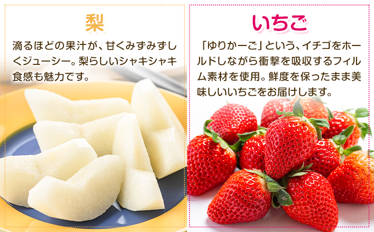 【定期便6回】特選 フルーツ 便 ( メロン すいか ぶどう 梨 いちご ) スイカ 葡萄 ブドウ ナシ なし 苺 イチゴ 果物 くだもの セット 詰合せ 定期便 メロンドーム《お申し込みの翌月から出