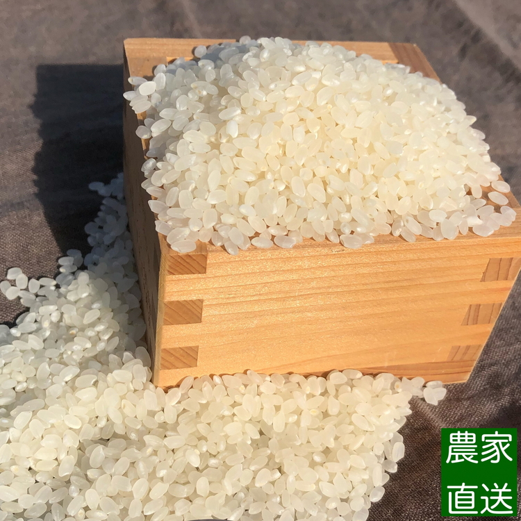 【令和7年度米】【先行予約】農家直送「 富富富 」5kg（玄米）｜富山米 ふふふ　※北海道・沖縄・離島への配送不可　※2025年9月下旬頃より順次発送予定