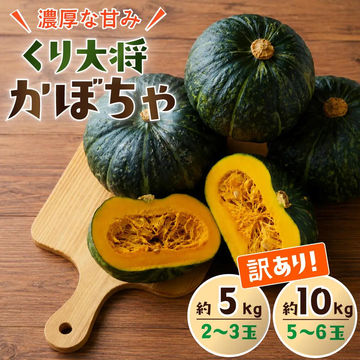 【訳あり】かぼちゃ くり大将 カボチャ 約10kg (5～6玉)
