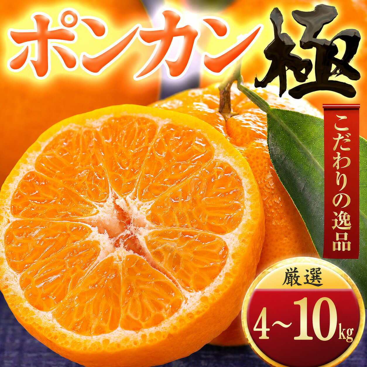 【ふるさと納税】【先行受付】【冬の定番柑橘】ポンカン【極】4kg／5kg／10kg　愛媛県産　みかんミカン蜜柑ポンカンぽんかん果物くだものフルーツデザートおいしい甘いかんきつ柑橘愛媛八幡浜市産地直送送料無料 YWTZ047