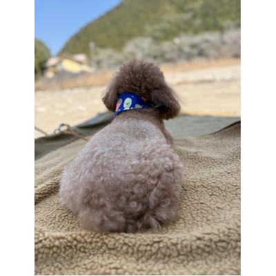 ふるさと納税 上牧町 alberton社赤外線を吸収して発熱するsliva knitわんにゃんブランケット　カーキ |  | 02
