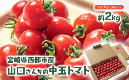 【先行予約】山口さんちの中玉トマト　約2kg　宮崎県西都市産＜1-280＞＊