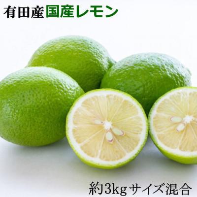 ふるさと納税 すさみ町 有田産の安心国産レモン約3kg(サイズ混合) (すさみ町)