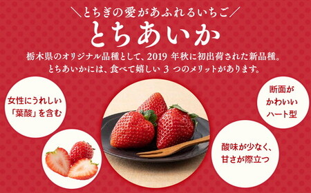 栃木おいしい会のいちご（とちあいか）260g×2パック（520g）｜栃木県共通返礼品 栃木県産 ※離島への配送不可 ※2025年3月上旬～4月下旬頃に順次発送予定