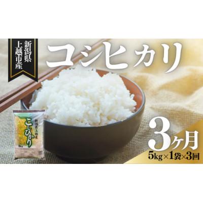 ふるさと納税 上越市 【発送月固定定期便】【7月上旬より発送予定】新潟県上越市産　コシヒカリ　精米　5kg全3回