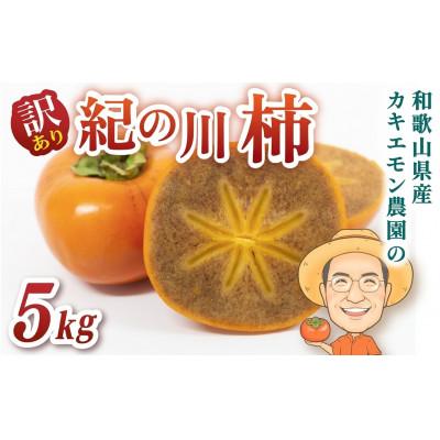 ふるさと納税 かつらぎ町 【訳あり・ご家庭用】紀の川柿 約5kg カキエモン農園