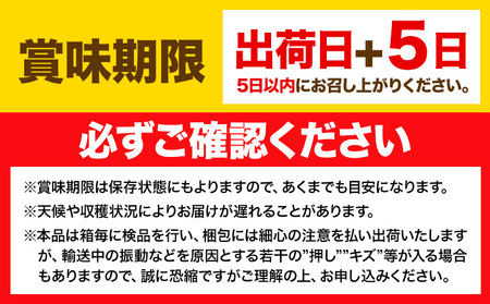 【先行予約】ぶどう シャインマスカット 晴王 1.2kg 2房 ハレノフルーツ(アストライ)《9月上旬-11月中旬頃出荷》岡山県 浅口市 送料無料 フルーツ 果物 マスカット お取り寄せフルーツ【配送