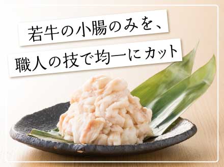 ［博多もつ鍋おおやま］【ギフト対応可】博多もつ鍋 しょうゆ味2人前 (もつ480g) OY011-1