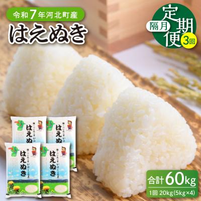 ふるさと納税 河北町 【令和7年産米】2026年1月中旬開始 はえぬき60kg(20kg×3ヶ月)隔月定期便 山形県産