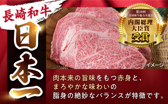 【12回定期便】【日本一の赤身肉】ヒレ ステーキ 長崎和牛（300g/回）【肉のマルシン】 [FG34] 肉 牛肉 赤身 ヒレ ステーキ 焼肉 定期便
