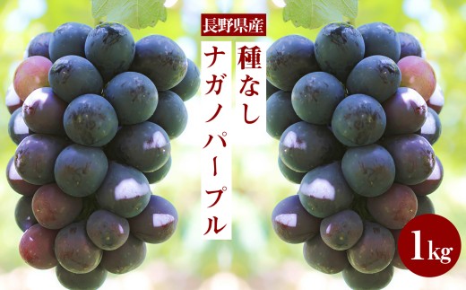 皮ごと OK! 長野県産 種なし ナガノパープル 約1kg 秀品 〈2026年8月下旬～10月上旬発送〉 | 山下屋荘介 果物 くだもの フルーツ ぶどう ブドウ 葡萄 ナガノパープル 種なし 長野県 信州 南信州 飯田市