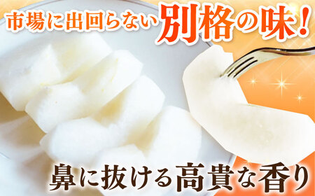 【100年続く梨農家直送】【化粧箱入り】麗（秋麗）3個入（約1.2kg） / 梨 なし 伊万里梨 フルーツ 果物 / 佐賀県 / 大川三世代 [41AEAB007]