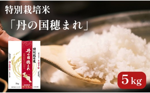 令和7年度産 特別栽培米 コシヒカリ「丹の国穂まれ」 5kg こしひかり お米 米 綾部 京都