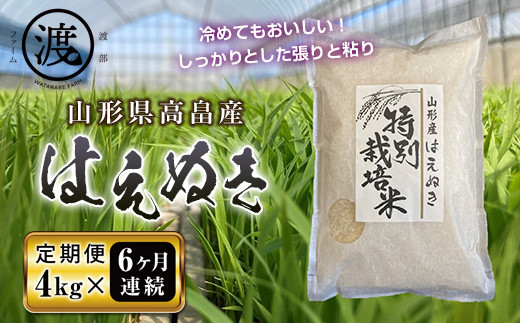 
《定期便》山形県高畠産はえぬき4kg（2kg×2）6回 F20B-504
