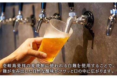 【全6回 定期便 】クラフトビール 地ビール GOLDEN ALE 6本 【ISLAND BREWERY】 《 壱岐市 》[JED010] 102000 102000円