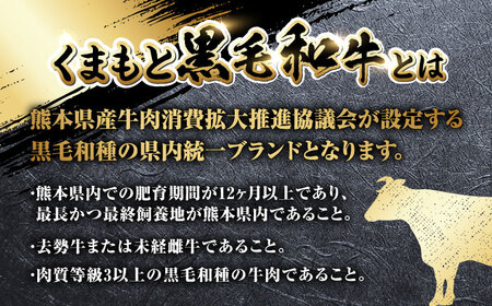 【全6回定期便】 くまもと黒毛和牛 すきやき用 500g すき焼き すきやき しゃぶしゃぶ スライス 国産 冷凍 熊本産 ブランド牛 牛肉【やまのや】[YDF021]