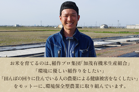 【令和8年産新米先行予約】【定期便3回毎月お届け】新潟県加茂市産 特別栽培米コシヒカリ 精米5kg《10月上旬～順次出荷》 白米 従来品種コシヒカリ （株）ライスグローワーズ