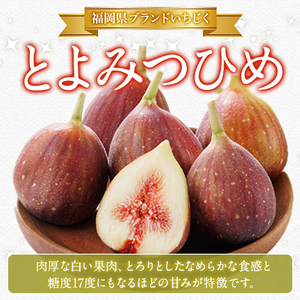 訳あり！冷凍 いちじく とよみつひめ (計1kg・500g×2袋) 冷凍 いちじく イチジク フルーツ 果物 くだもの 福岡限定 オリジナルブランド シャーベット コンポート パンケーキ 訳アリ 真空