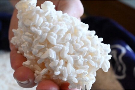 米麹（2025年度産日本晴使用）2kg