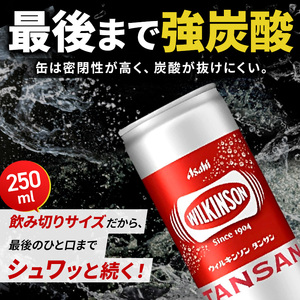【3カ月連続定期便】ウィルキンソン タンサン 250ml缶 20本[ WILKINSON TANSAN 炭酸 炭酸水 強炭酸 缶 飲料 ]