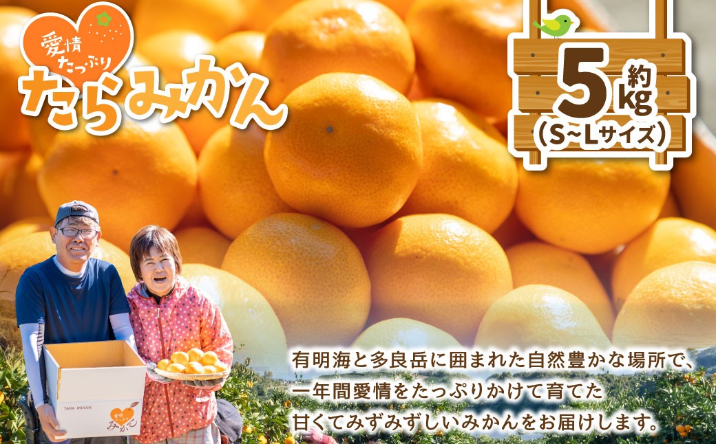 
                  L127x1 愛情たっぷりたらみかん 5kg 温州 みかん ミカン 蜜柑 温州蜜柑 温州ミカン フルーツ くだもの 果物 ミネラル豊富 太良町 国産 贈答用 【2026年11月上旬-12月下旬発送予定】
                