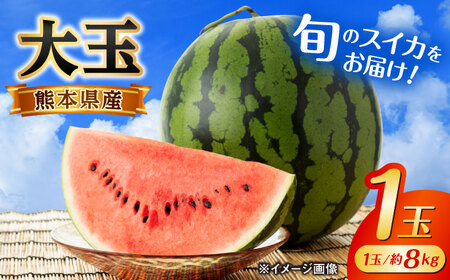 【2026年発送分先行予約】【数量限定】大玉 西瓜 1玉入り 約8kg すいか[AYAU001]