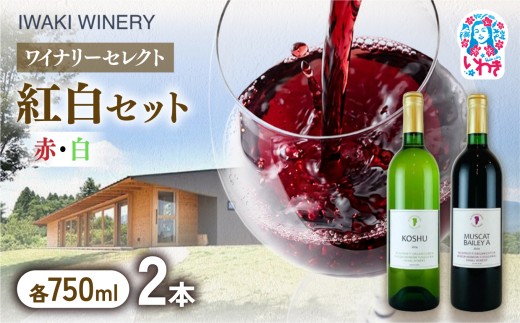 いわきワイナリー 紅白セット 750ml×2本 | いわきワイナリー 紅白セット ワインセット いわき市 いわきワイナリー 日本ワイン 国産ワイン 赤ワイン 白ワイン ワイン 飲み比べ ワイナリー醸造 ぶどう使用 国産ぶどう 果実酒 おまかせワイン 2本セット いわき産ぶどう | CR003