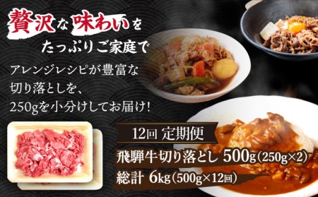 ＼贅沢な味わいをご家庭で／ 【12回定期便】【飛騨牛】切り落とし 総計6kg 〈1回あたり〉500g (250g×2)【肉のひぐち】 国産 ブランド牛 和牛 BBQ キャンプ  [TDC012]