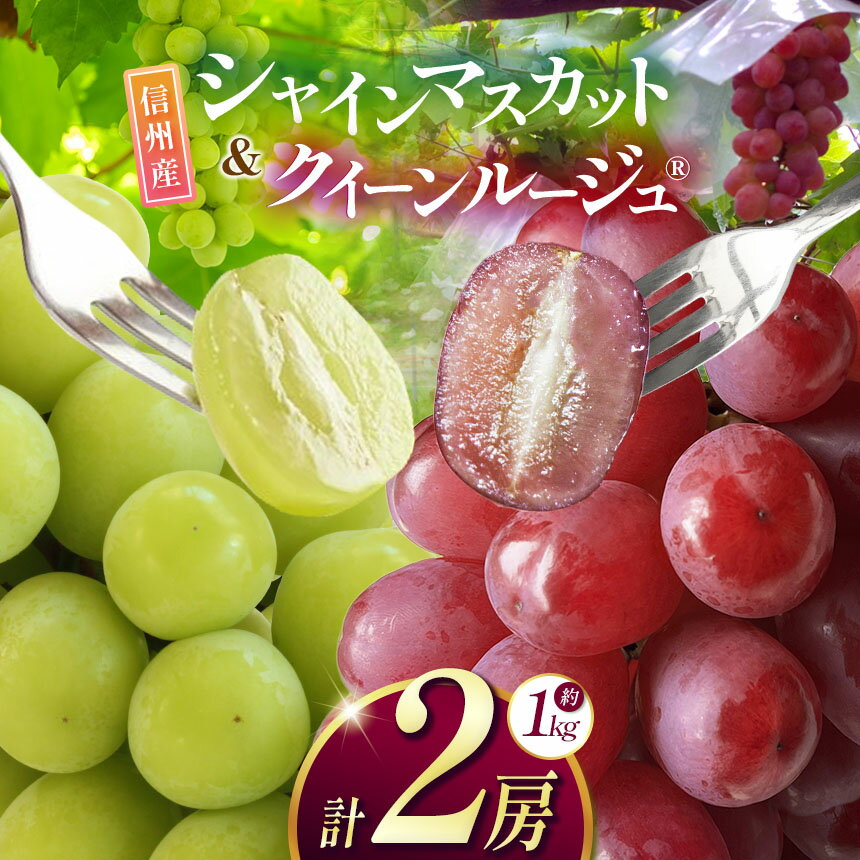 【ふるさと納税】【先行受付】信州産 クイーンルージュ®、シャインマスカットのセット 約1kg (2房)｜ふるさと納税 松本市 ぶどう 葡萄 シャインマスカット クイーンルージュ 果物 フルーツ 種無し 新鮮 セット 食べ比べ 信州産 先行予約