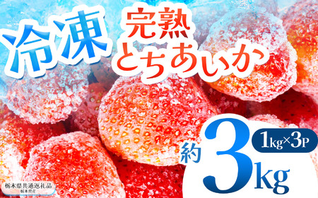 【栃木県共通返礼品】完熟冷凍とちあいか 約3kg | いちご とちあいか 冷凍 冷凍イチゴ スイーツ ジャム スムージー たっぷり 大粒 甘い 美味しい 果物 デザート 栃木県 那珂川町 送料無料