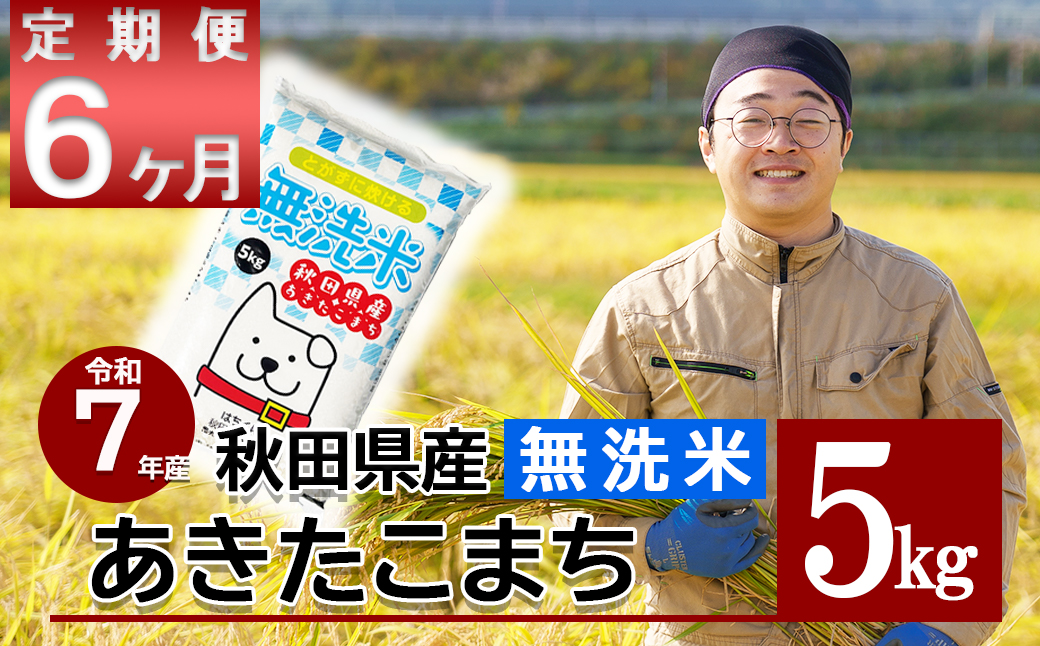 【定期便6ヶ月】令和7年産　秋田県産米「あきたこまち（無洗米）」 5kg（5kg×1袋）300P9203