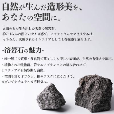 ふるさと納税 阿蘇市 阿蘇溶岩石 サイズはお任せ約3kgセット |  | 01