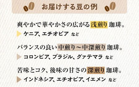 【6回定期便】 こだわりの自家焙煎 コーヒー豆 2種 計300g 【Jikan ryoko】[TDR005]