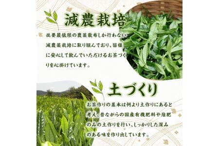 奥八女星野村　伝統本玉露(計100g・50g×2袋) 八女茶 緑茶 おちゃ お茶 やめ 手摘み茶 常温 常温保存【ksg1349】【おどろきっちん】