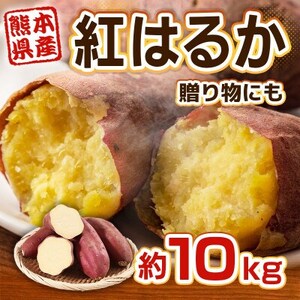 熊本県産 さつまいも 紅はるか 10kg(益城町)【1613653】