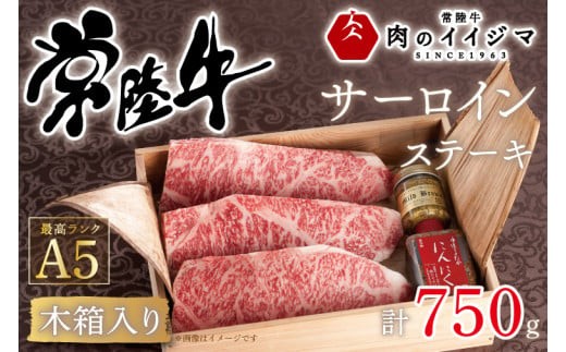 肉 常陸牛A5 サーロイン ステーキ 250g×3枚 ＜木箱入り・特製タレ／マスタード付き＞ 国産牛 黒毛和牛 お中元 敬老の日 お取り寄せ お祝い 内祝い 出産 結婚 快気祝いプレゼント 誕生日 ギフト対応 茨城県 水戸市 肉のイイジマ（DU-39）