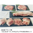 【ふるさと納税】大阪産ブランド豚「なにわポーク（大阪梅ポーク）」のサムギョプサル焼き肉セット 【豚肉 国産 食べ比べセット 焼肉 サムギョプサル 冷凍 韓国焼肉】