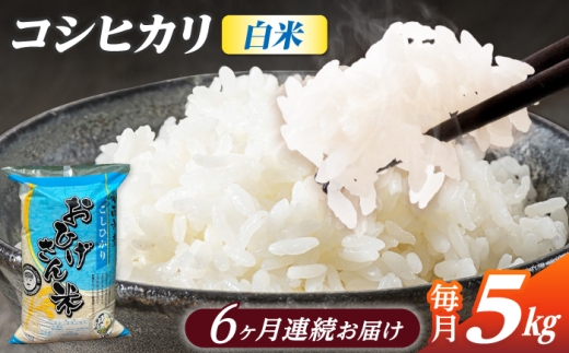 【6回定期便】コシヒカリ 白米 5kg×6ヵ月 愛西市 / 脇野コンバイン [AECP025]