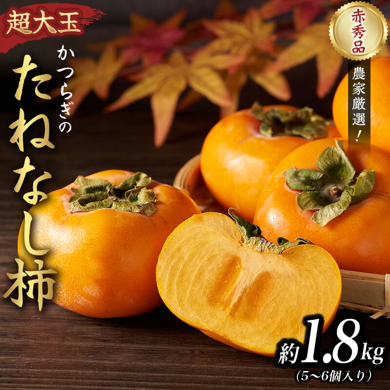 【ふるさと納税】柿 種無し 赤秀品 超大玉 約1.8kg 5～6個 【先行予約】【2025年9月下旬から10月下旬頃発送】【kgr023】