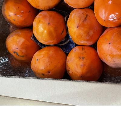 ふるさと納税 八幡浜市 訳あり富士柿10kg【D21-44】 |  | 01