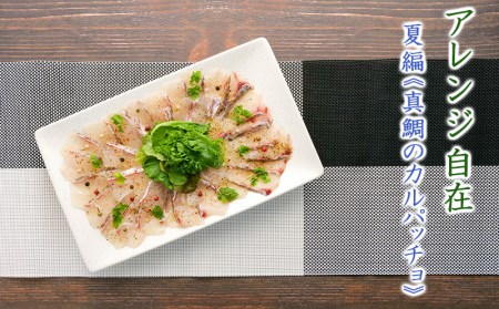 【価格改定予定】鯛 刺身 250g 鯛めし 真鯛 しゃぶしゃぶ カルパッチョ アレンジ自在 沼津港 駿河湾 スルガ