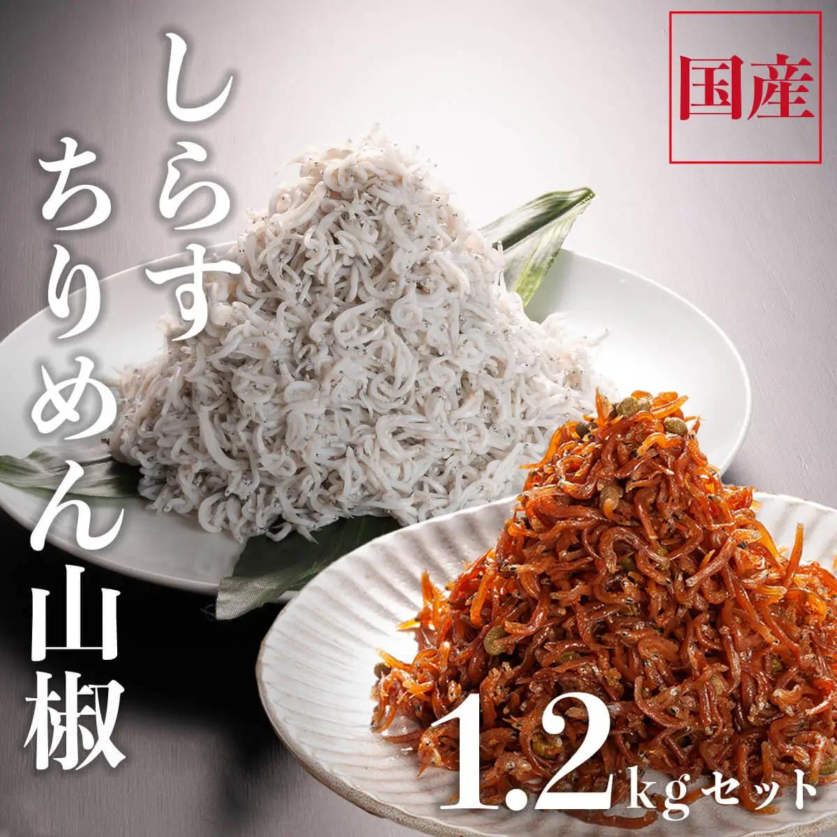 しらす 1kg ちりめん山椒 100g しらす佃煮 100g セット _AG002