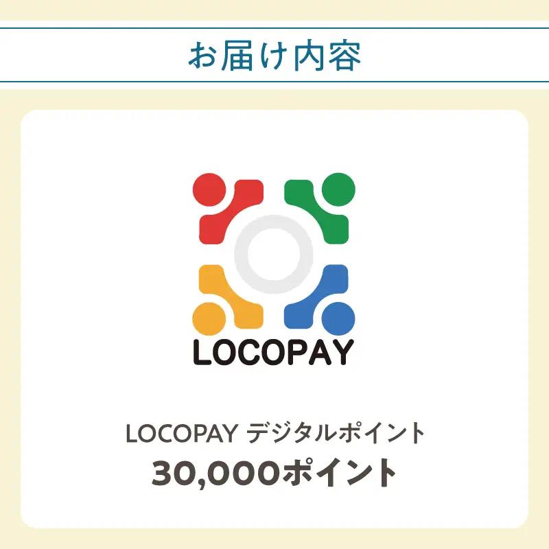 LOCOPAYデジタルポイント【30,000ポイント】 P01093