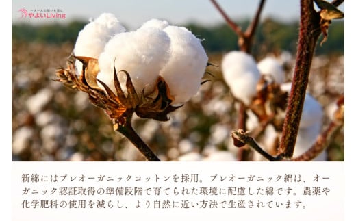 ＼受注生産・職人手作りふとん／綿ふとん打ち直しサービス【仕上がり：シングル掛ふとん】 (EO019)