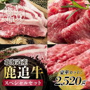 【ふるさと納税】鹿追牛　スペシャルセット 2,520g 【 ふるさと納税 人気 おすすめ ランキング 牛 肉 牛肉 ビーフ ロース ステーキ すき焼き 焼肉 大容量 ミート 北海道 鹿追町 送料無料 】 SKA018