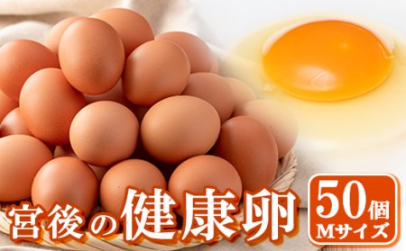 s413 産地直送！さつま町の豊かな自然の中で育った宮後の健康卵！(Mサイズ・計50個)国産 贈答品【宮後養鶏】