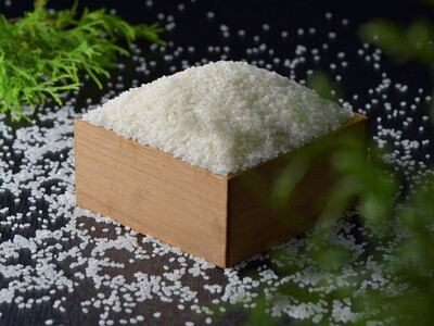 【令和7年産】古河市産 特別栽培米コシヒカリ5kg【小久保農園】｜  米  _AS05