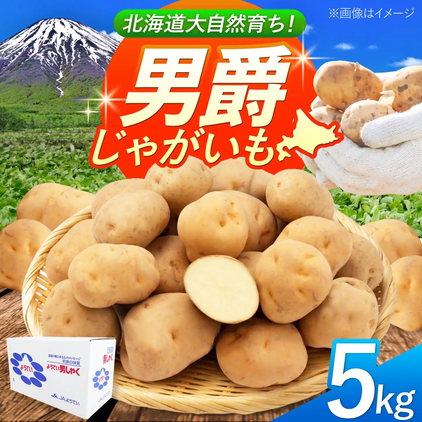 じゃがいも 男爵芋 5kg BPAT001 じゃがいも