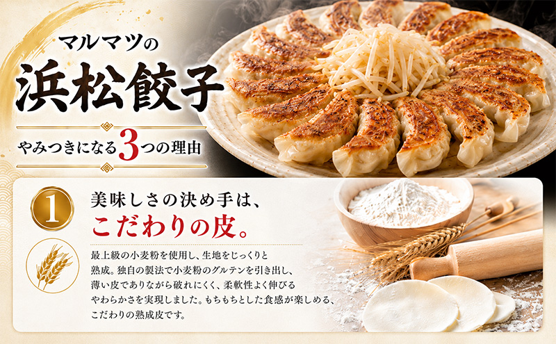 浜松餃子　120粒（定番の味　30粒×4袋）　総重量2.4kg！ 