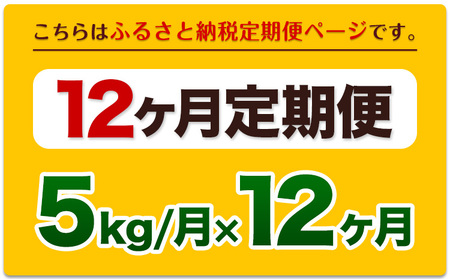  定期 令和7年産 【12ヵ月定期便】 無洗米 ひのひかり 5kg《お申込み翌月から出荷》